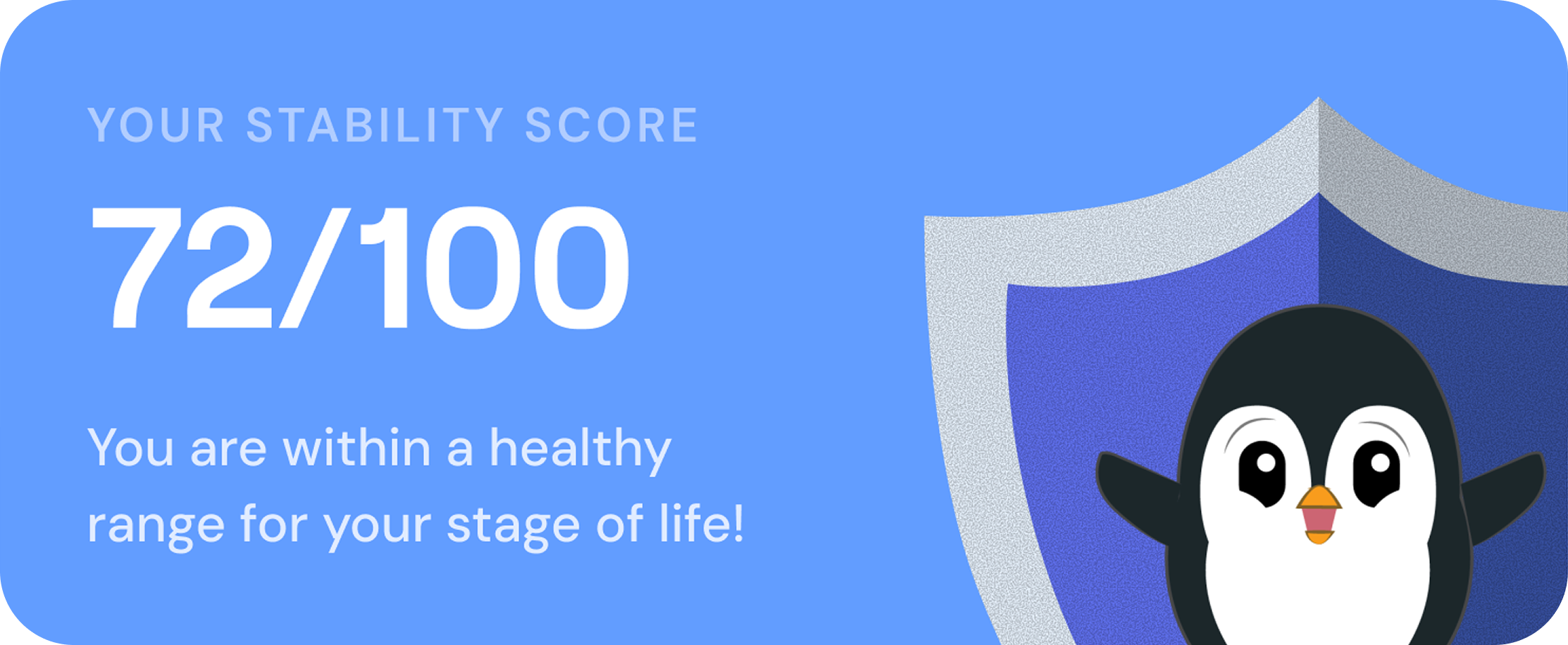 Your Stability Score